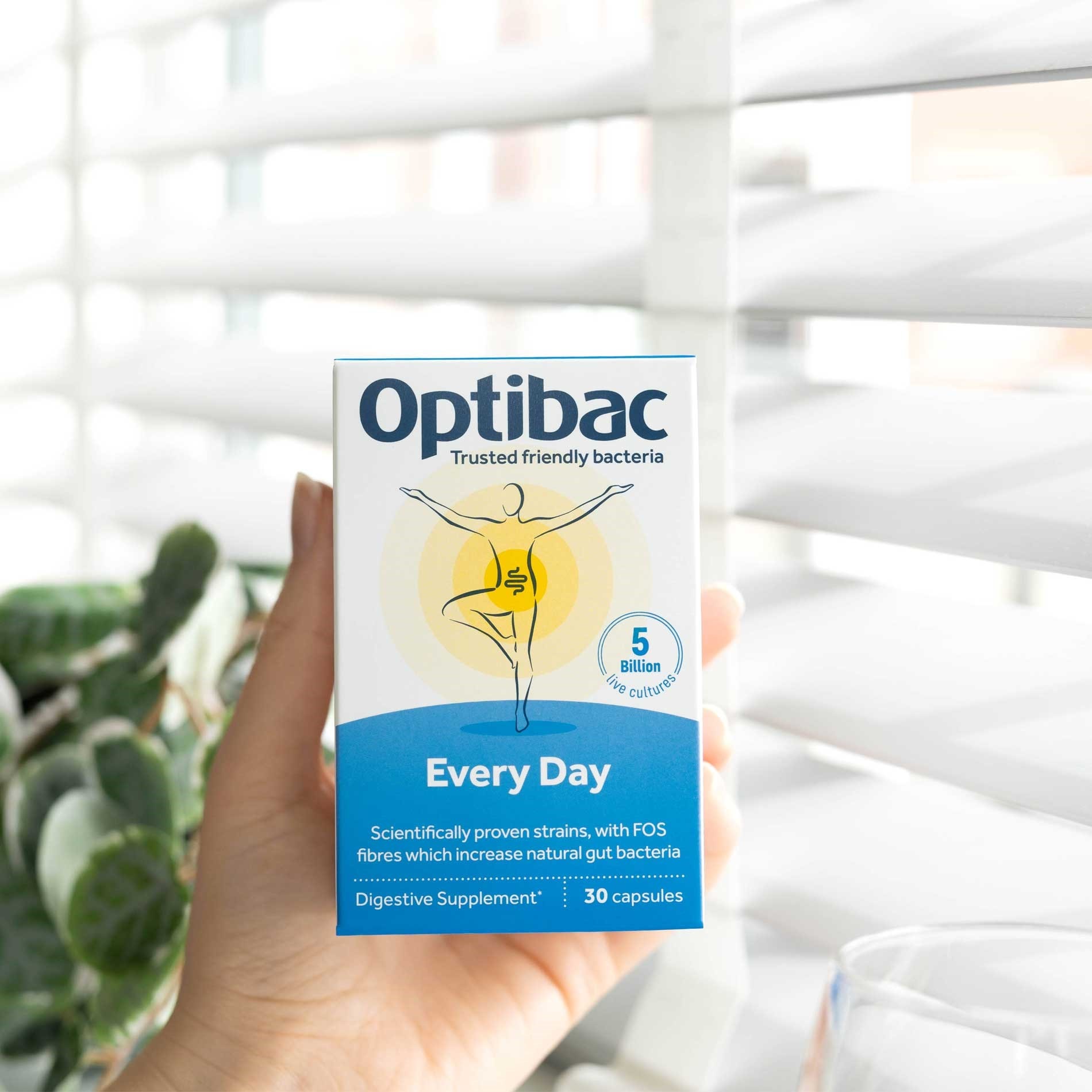 Hand holding a box of Optibac Every Day digestive supplements near a window with blinds and a plant in the background.