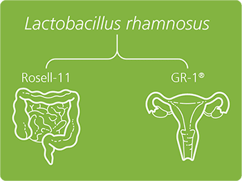 The cure-all probiotic myth image