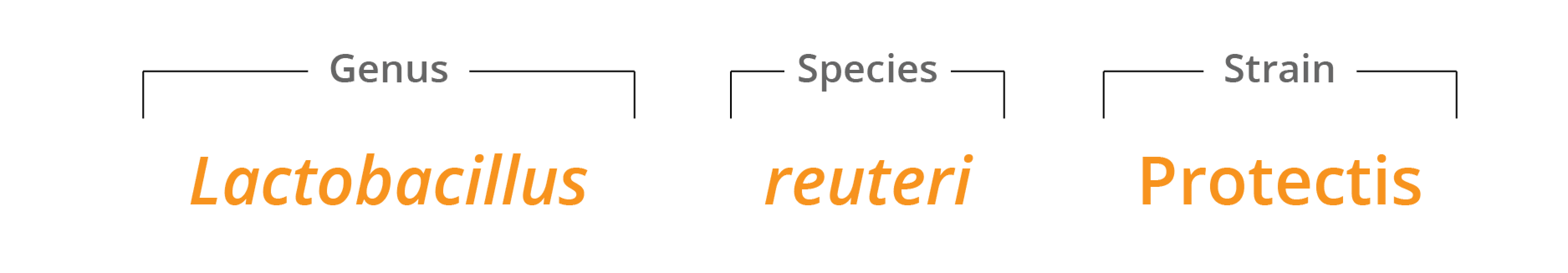 Genus species & strain Lactobacillus reuteri Protectis
