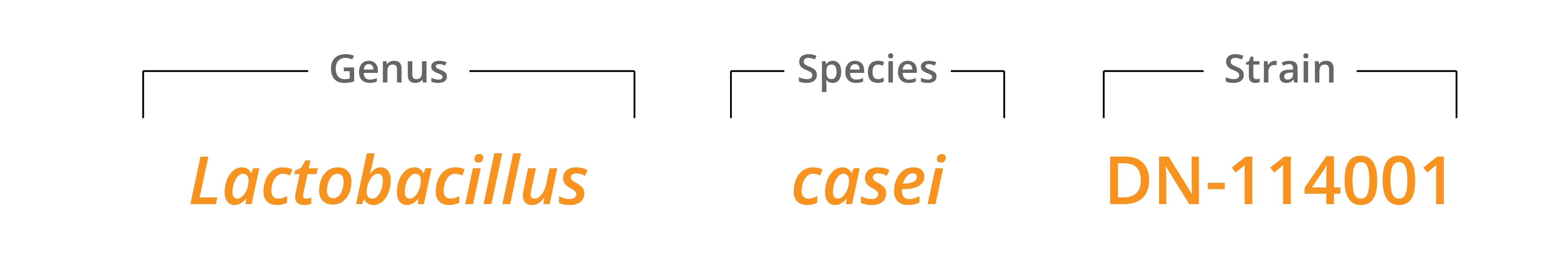 DN-114001 genus species & strain 