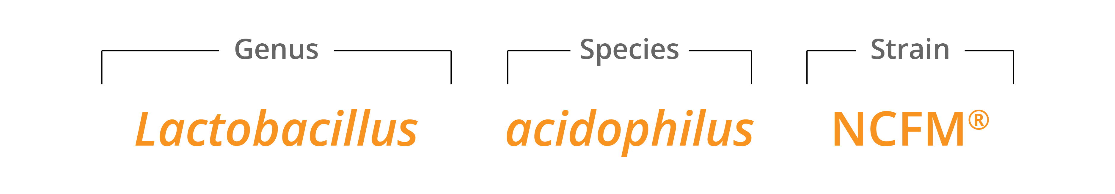 genus species & strain breakdown 