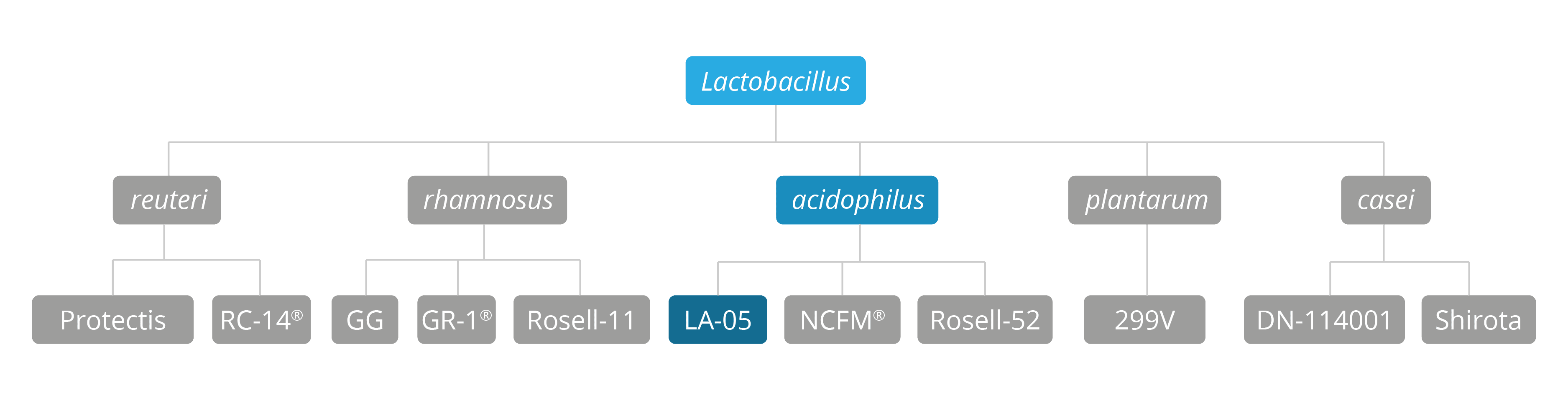 genus species & strain breakdown