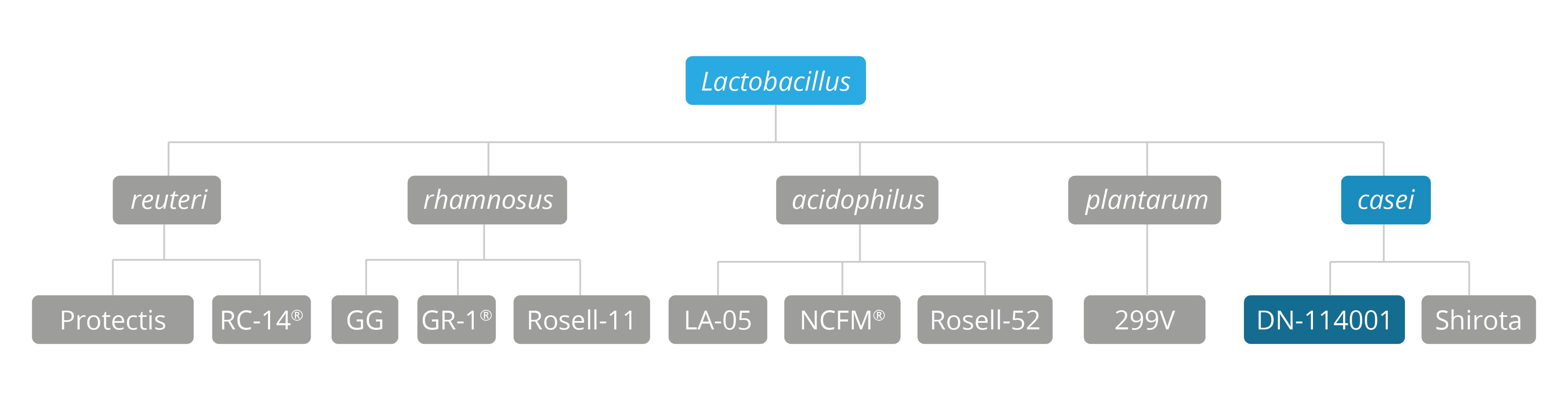 Genus, species and strain breakdown