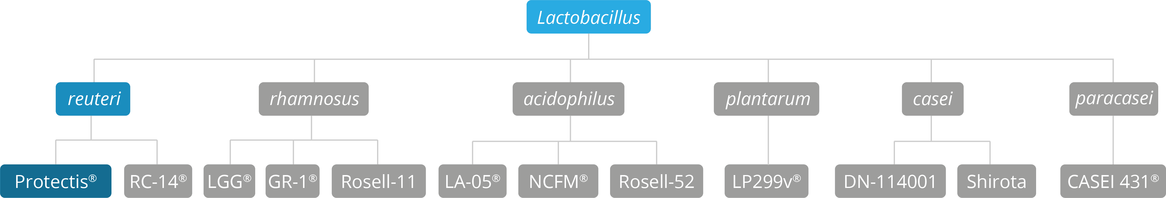 genus, sepcies & strain chart 