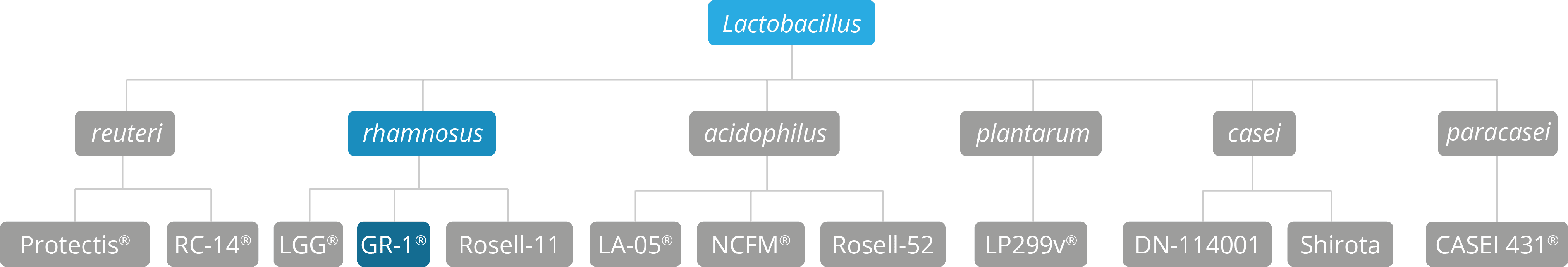 Genus species and strain breakdown 