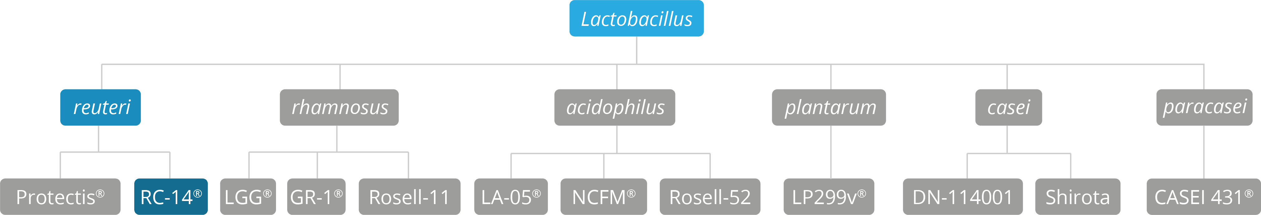 genus species & strain breakdown