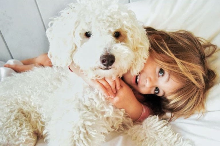child with a dog