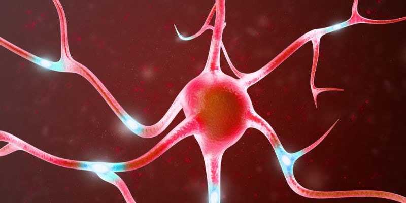 Nerve image showing gut brain connection