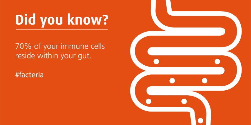 facteria about the immune