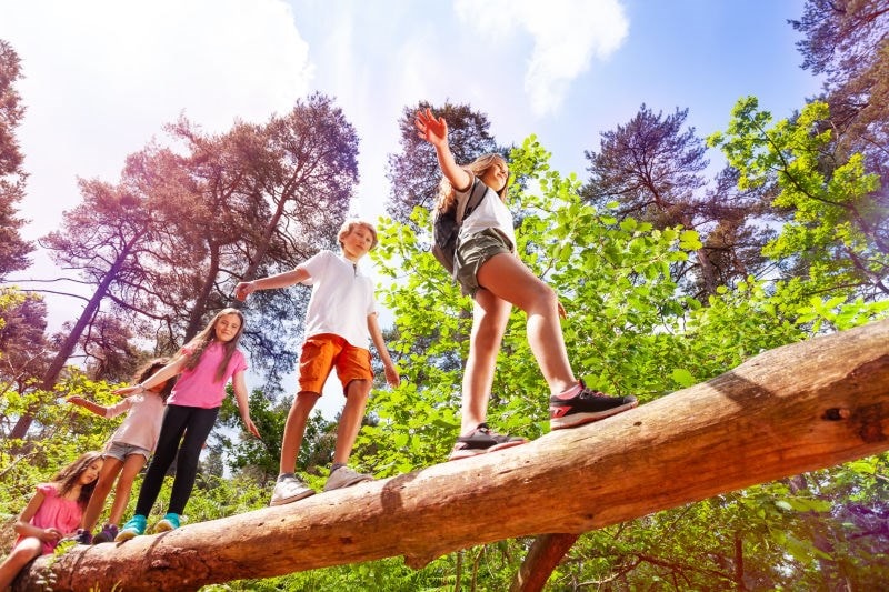Children balancing on a large fallen tree trunk in a forest, surrounded by green foliage and a clear blue sky.