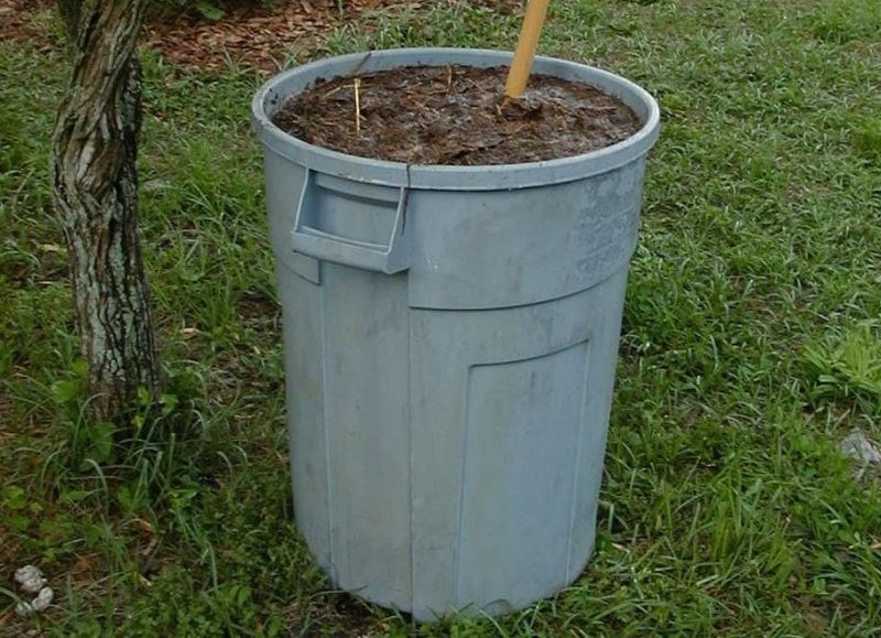 bucket of Manure Tea