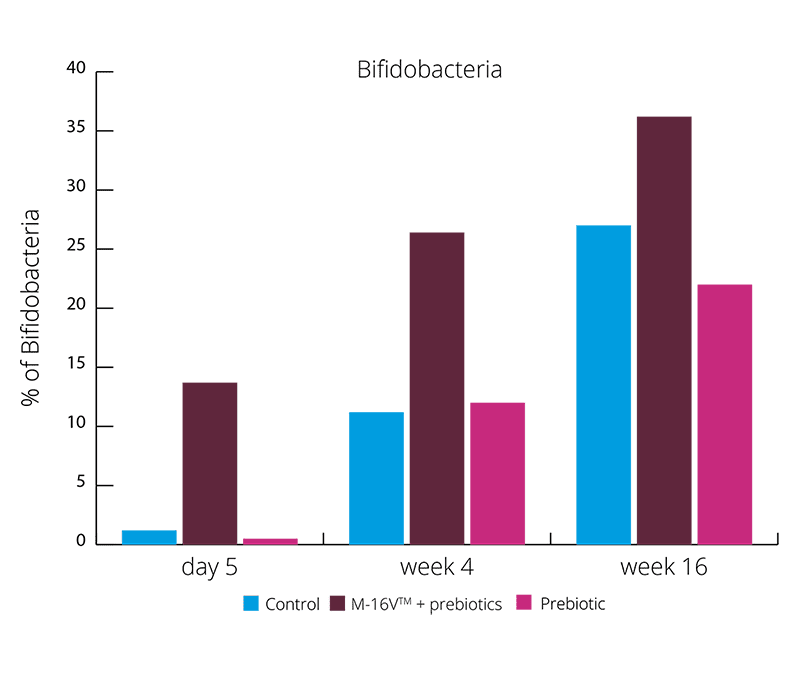 graph percentage bacteria 16 week intervention