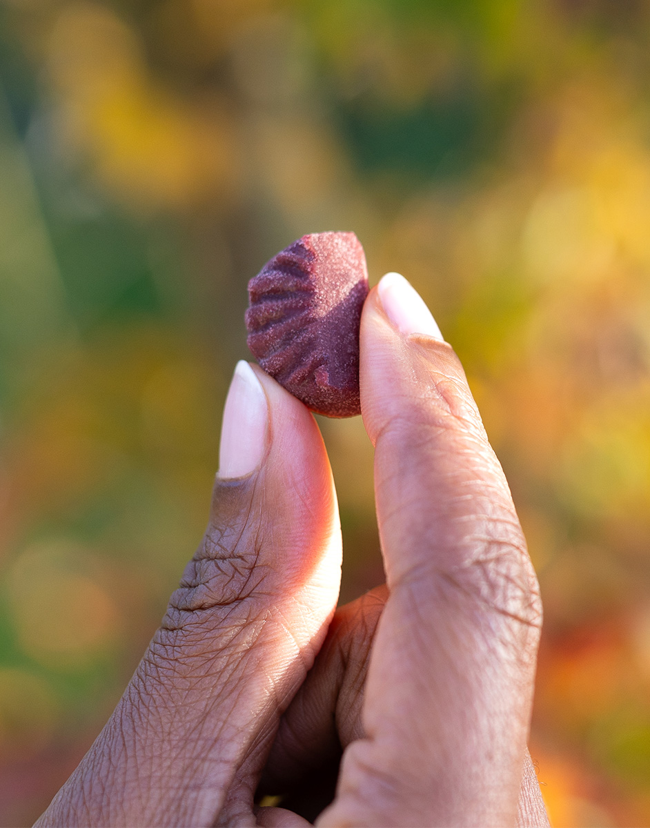 A hand holding a small, textured, dark red gummy against a blurred, colorful background.