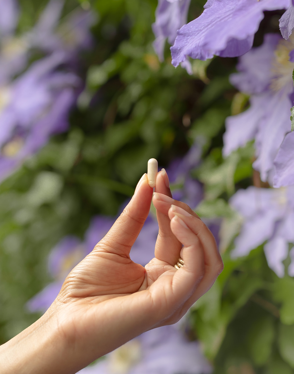 Hand holding a small capsule against a backdrop of purple flowers and green leaves.