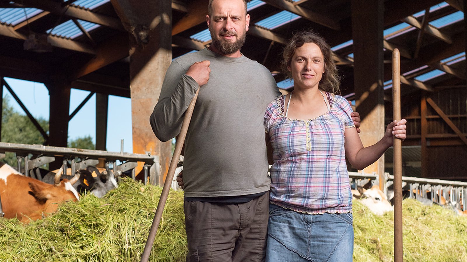 A man and woman stand in a barn with cows, holding a broom and pitchfork, surrounded by hay.