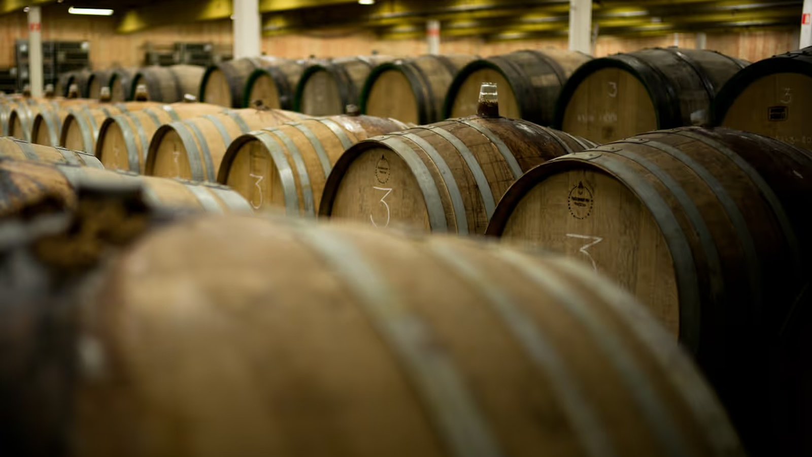 Rows of wooden barrels in a dimly lit cellar, used for aging wine or spirits, with a focus on the barrel tops.