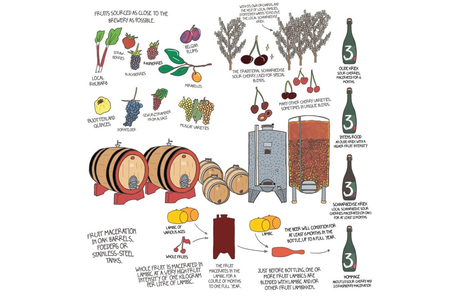 A drawing explaining how fruitlambik is made.
