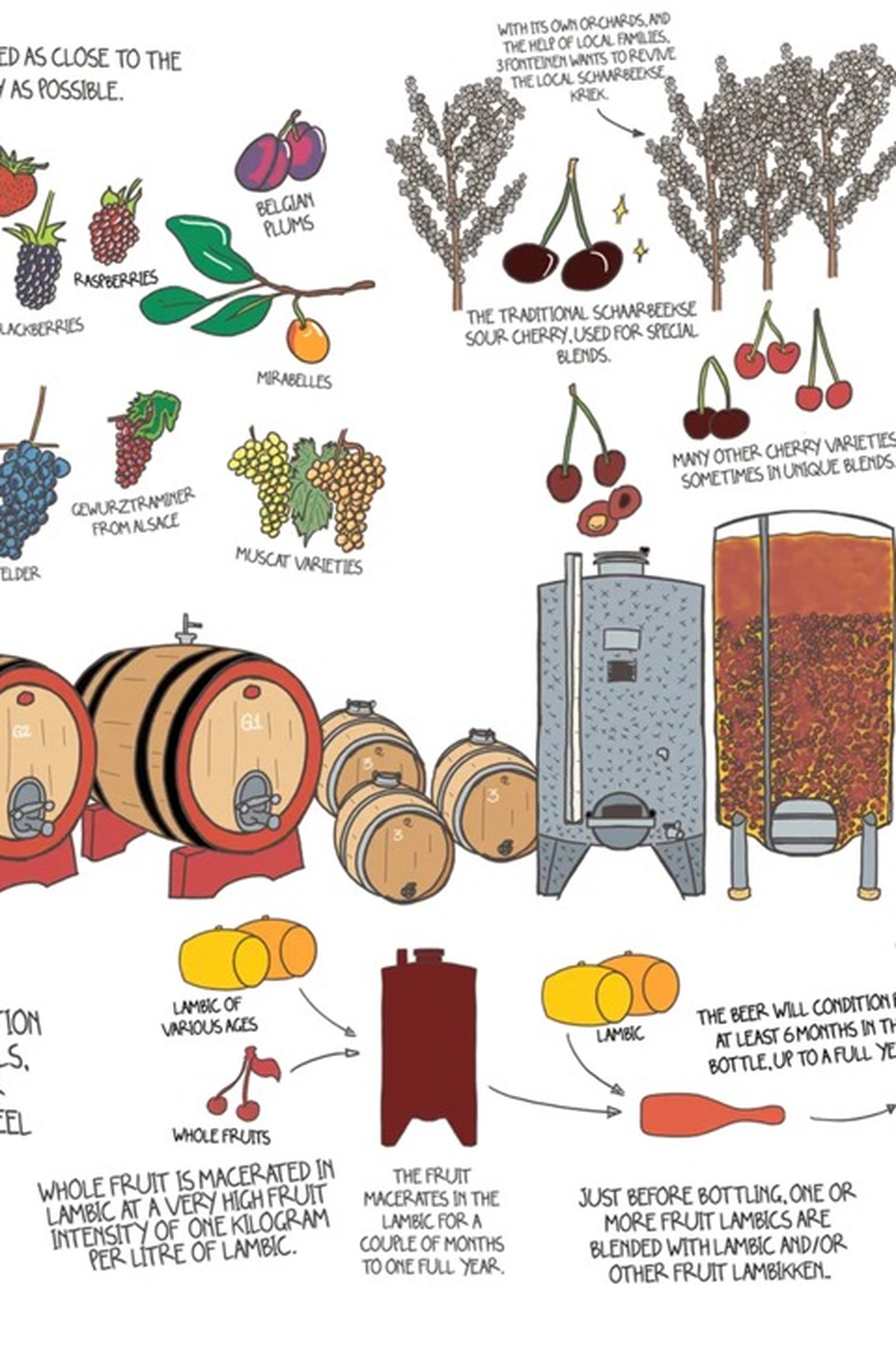 A drawing explaining how fruitlambik is made.