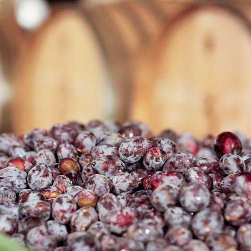 A crate filled to the brim with plums.