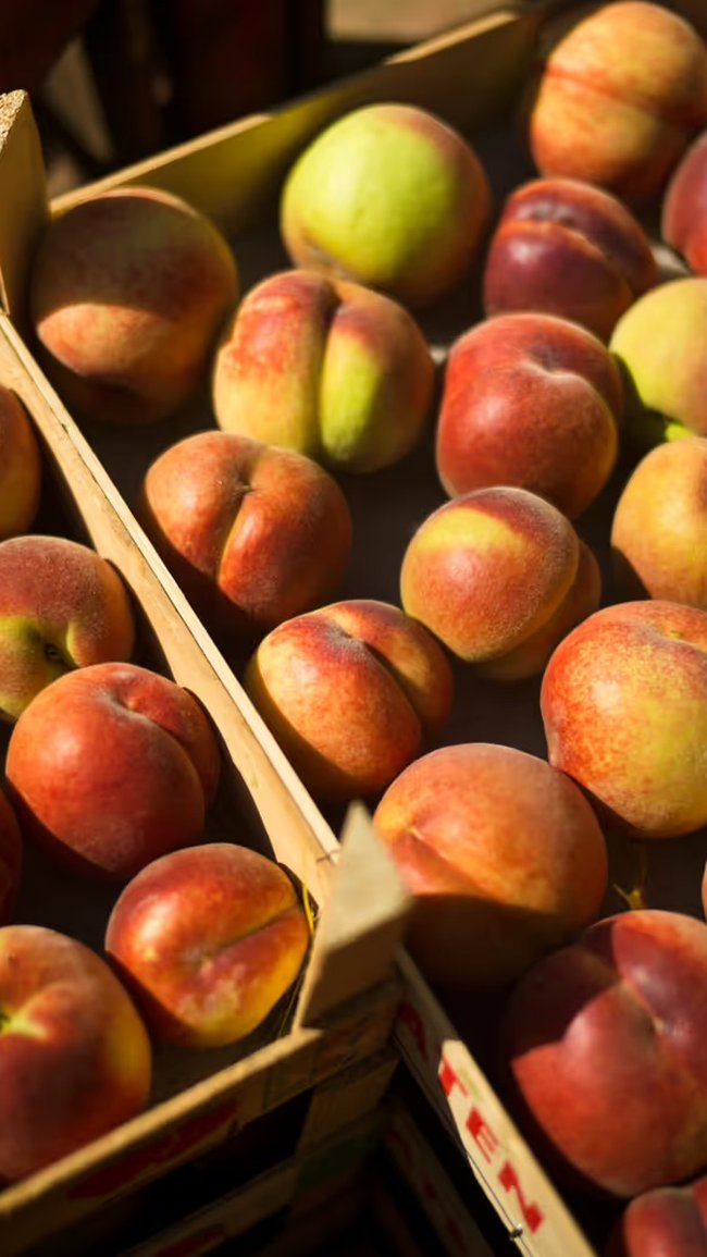 Wooden crates filled with fresh, ripe peaches in sunlight, highlighting their vibrant hues of red, orange, and yellow.