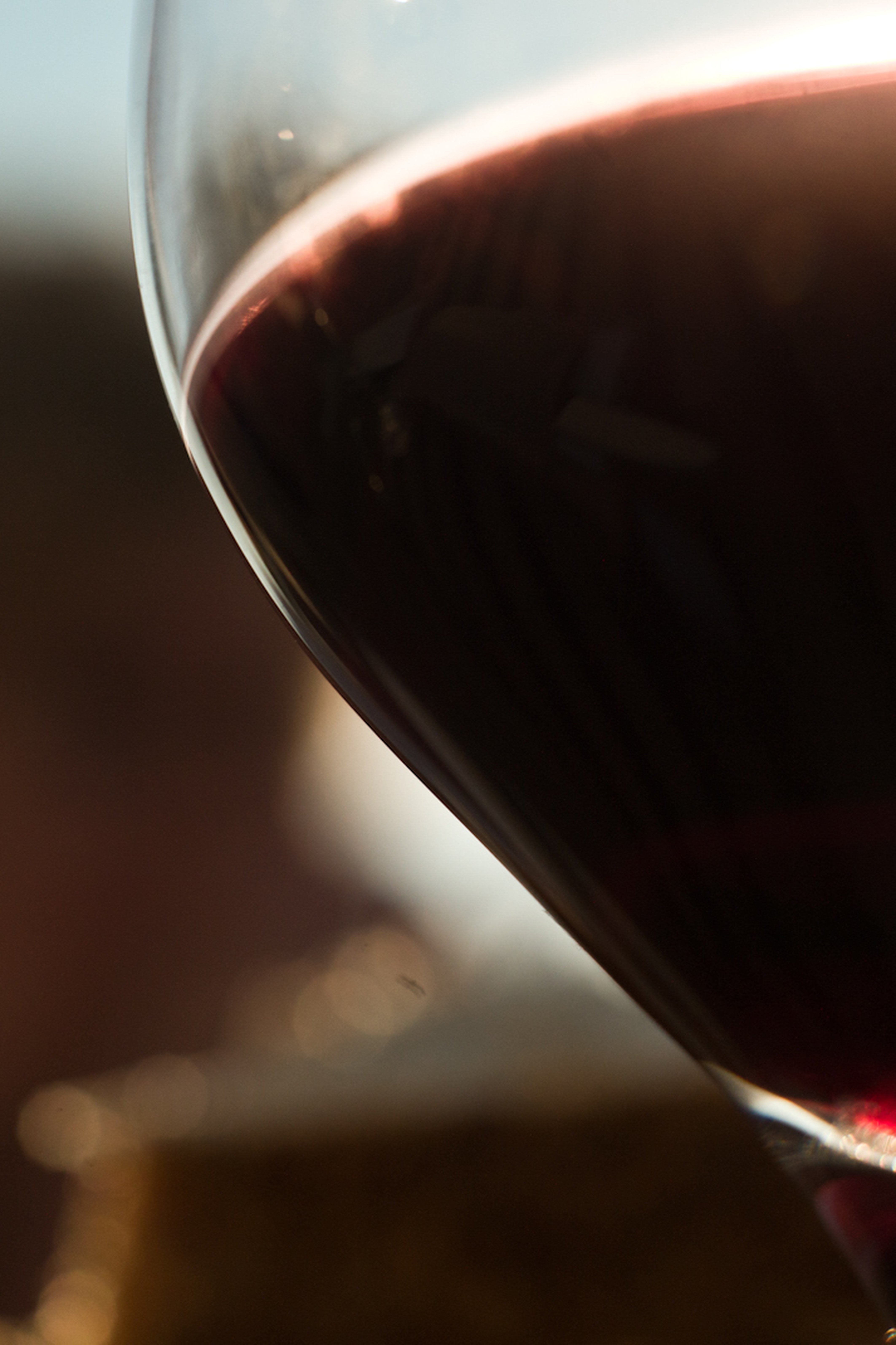 Close-up of a glass of dark red Oude Kriek, backlit by the sun, showing the deep colour and a silhouette of a person in the background.