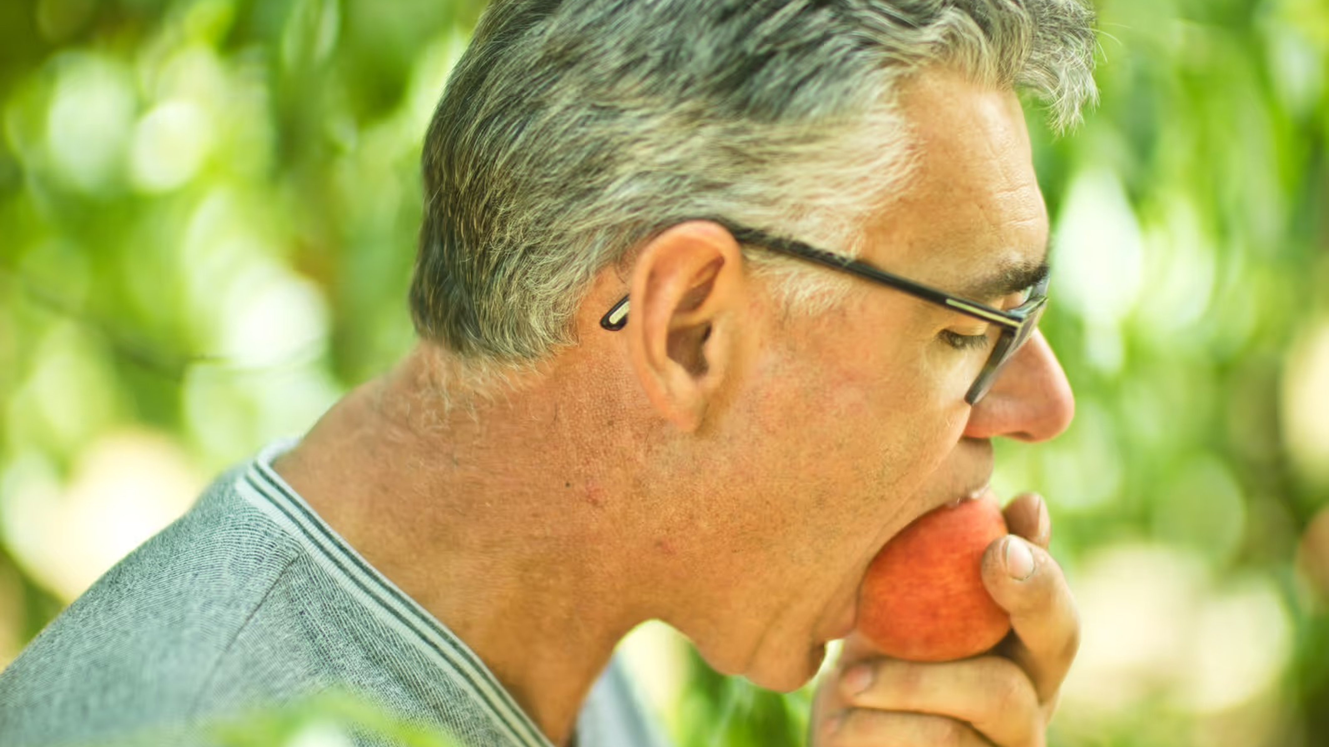 Man with gray hair and glasses eating a peach in an orchard, surrounded by green leaves.