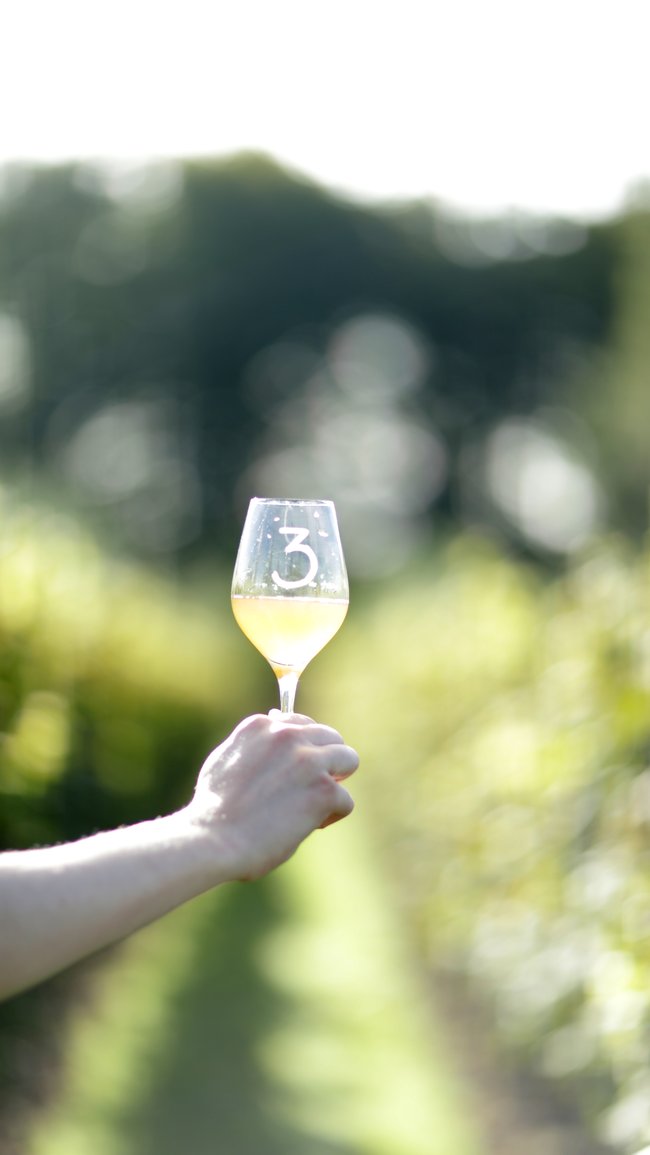 Hand holding a wine glass with a "3" on it, against a blurred vineyard background.
