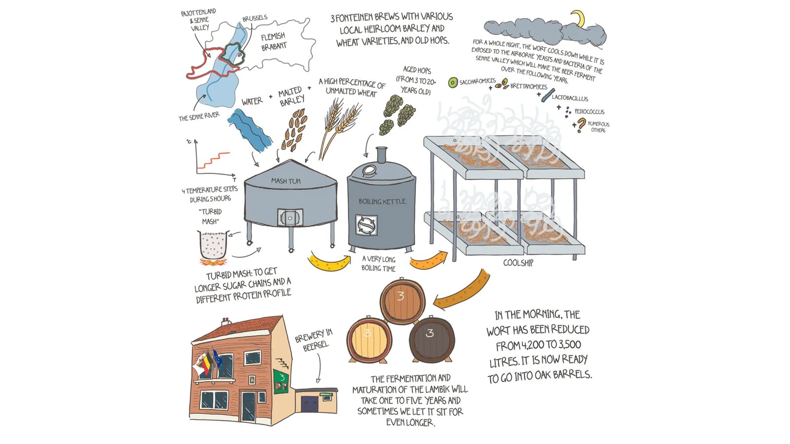 A step-by-step drawing of the lambic brewing process