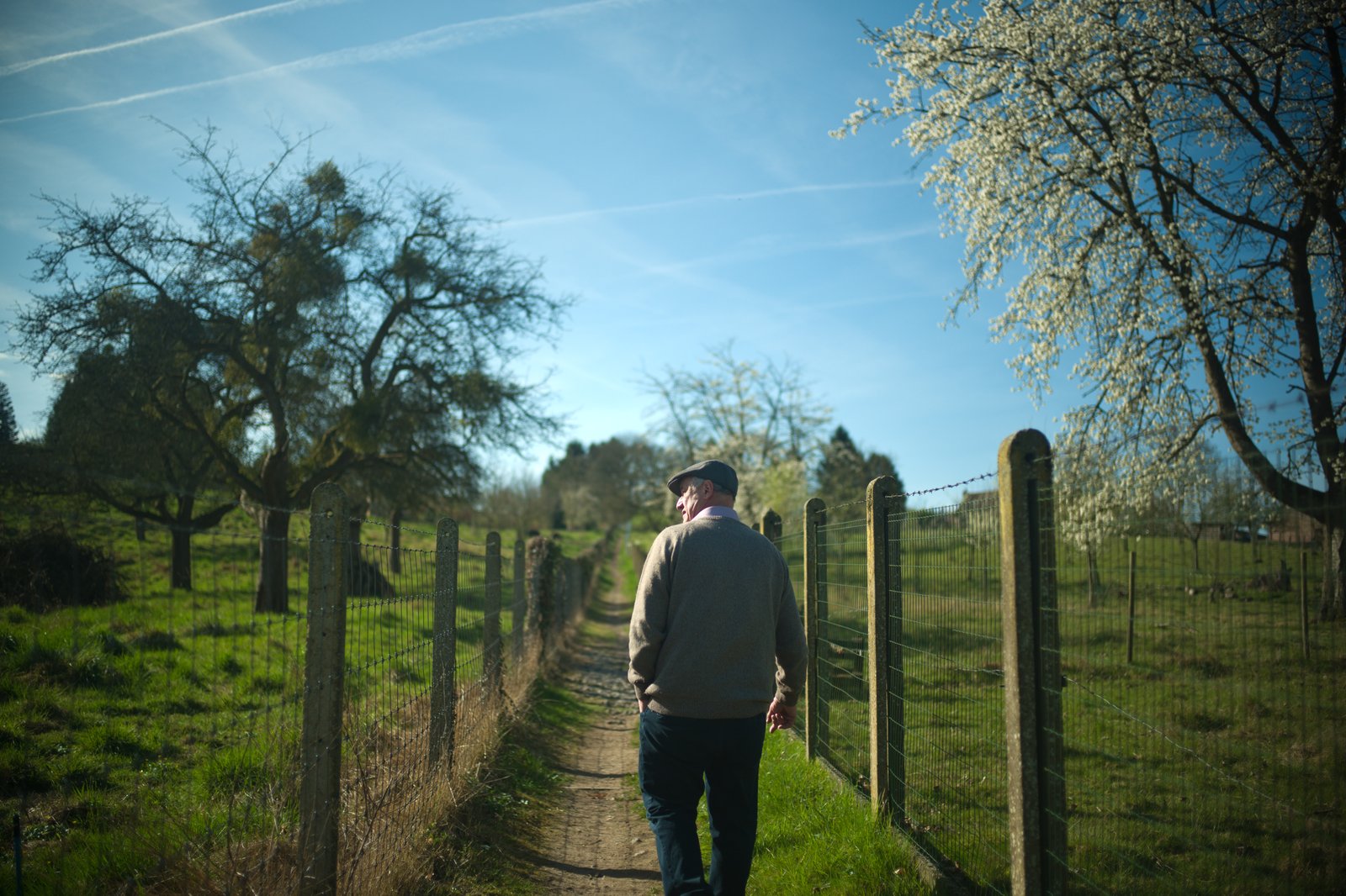 Wide shot of Armand walking along a fence line in the brewery orchard.  Title Tag: Armand-Debelder-Orchard-Walk