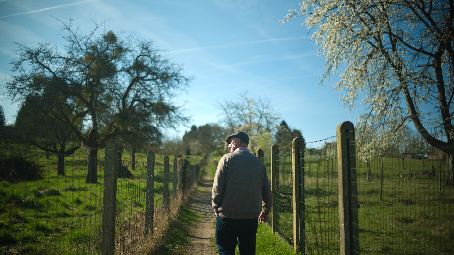 Wide shot of Armand walking along a fence line in the brewery orchard.  Title Tag: Armand-Debelder-Orchard-Walk