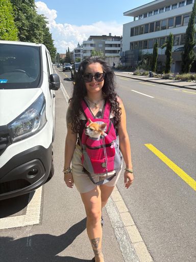 Dog owner