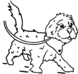Dog Image