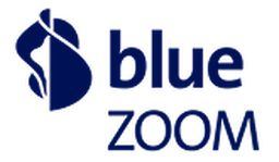 Blue Zoom Logo