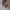 Gel Extensions – Refill