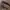 Brow Shaping