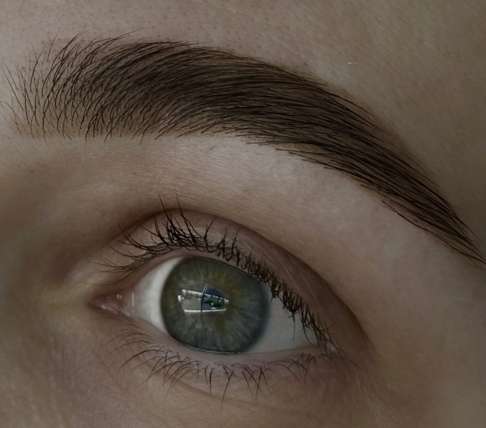 eyebrow-shaping-and-tinting