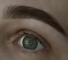 Brow Shape and Tint