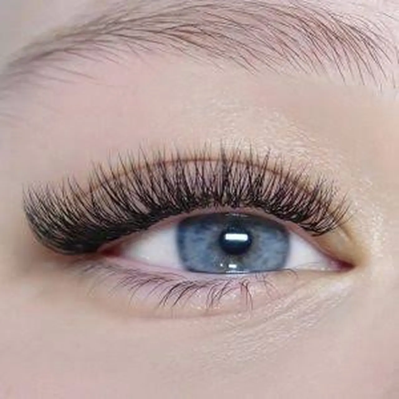 Light Volume Lash Extensions
