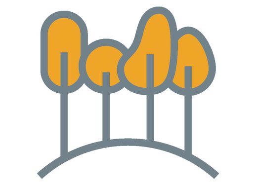 Minimalist illustration of four orange trees with grey trunks on a curved hill, set against a white background, a symbol for sustainability
