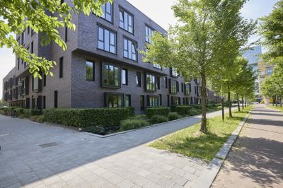 Modern appartementengebouw van donkere baksteen met grote ramen naast een met bomen omzoomd trottoir en aangelegde beplanting op een zonnige dag.