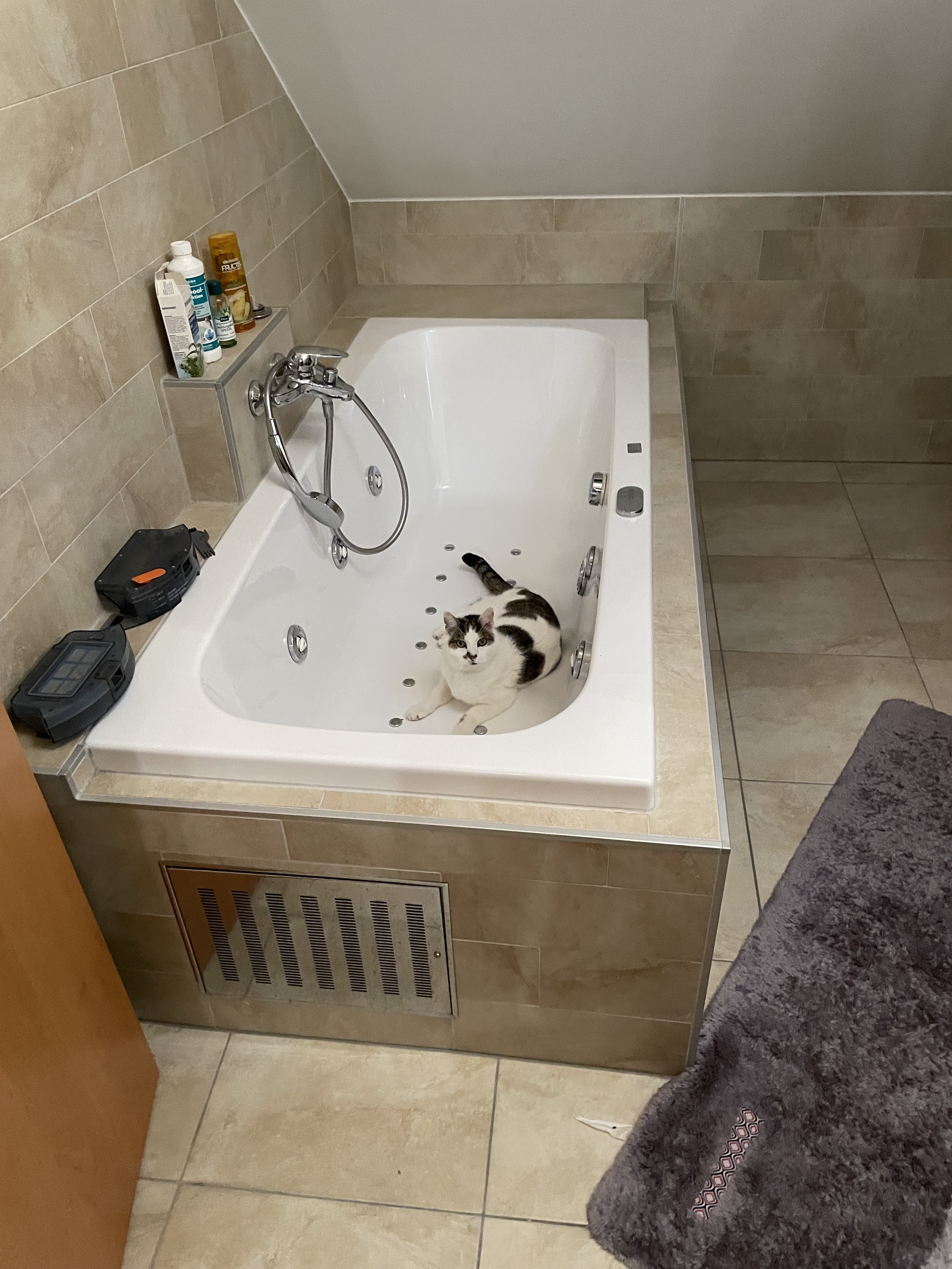 Bild von Anzeige: Test Anzeige Staging