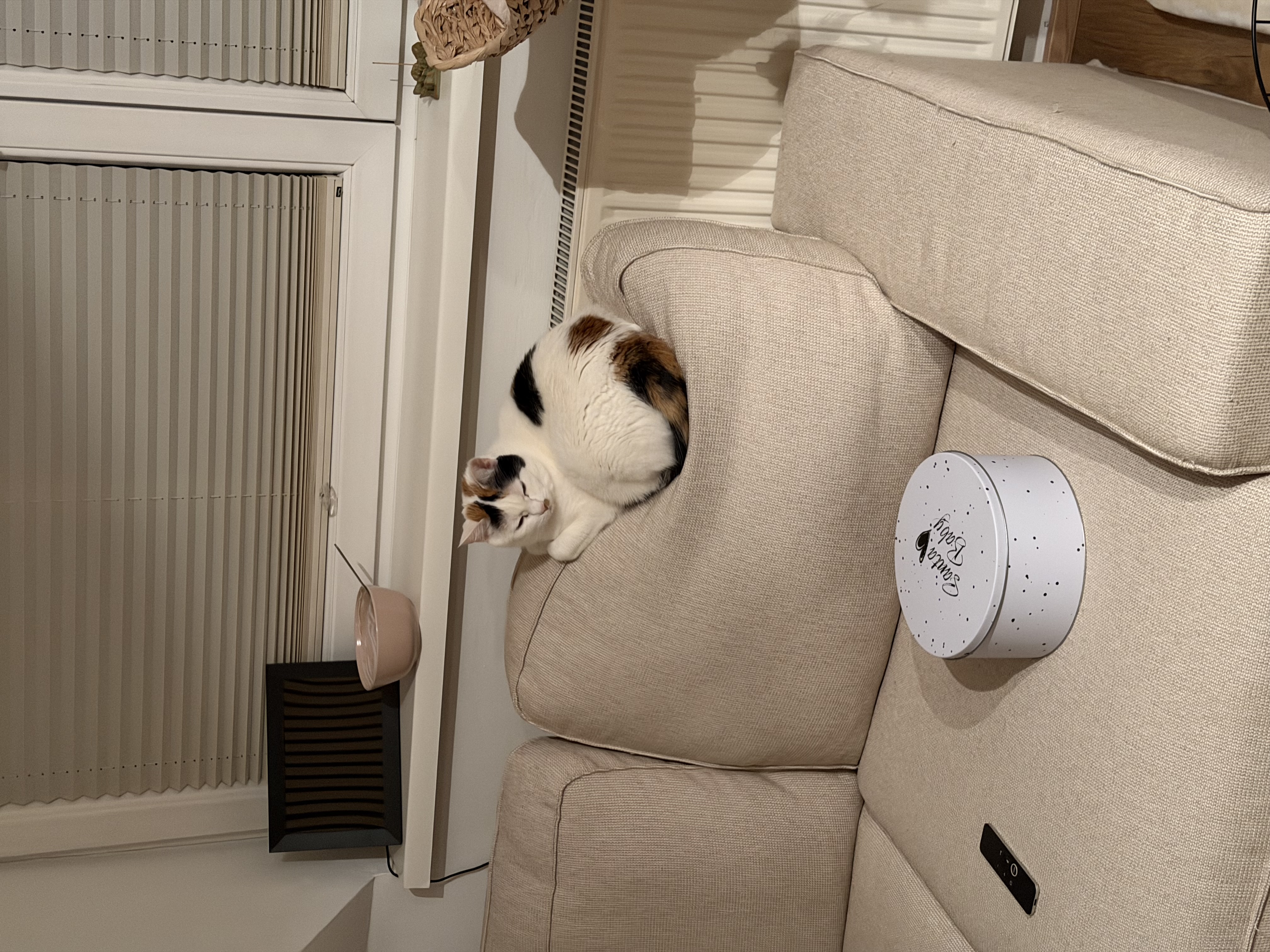 Bild von Anzeige: test