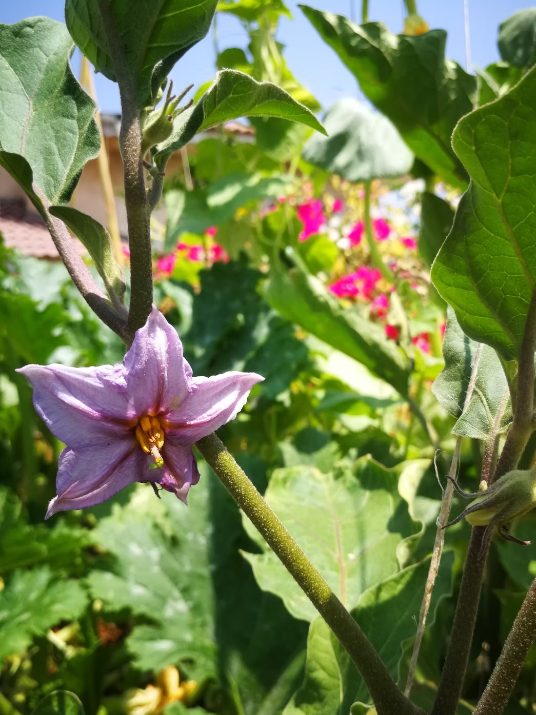 Hamagid Residence, Tel Aviv