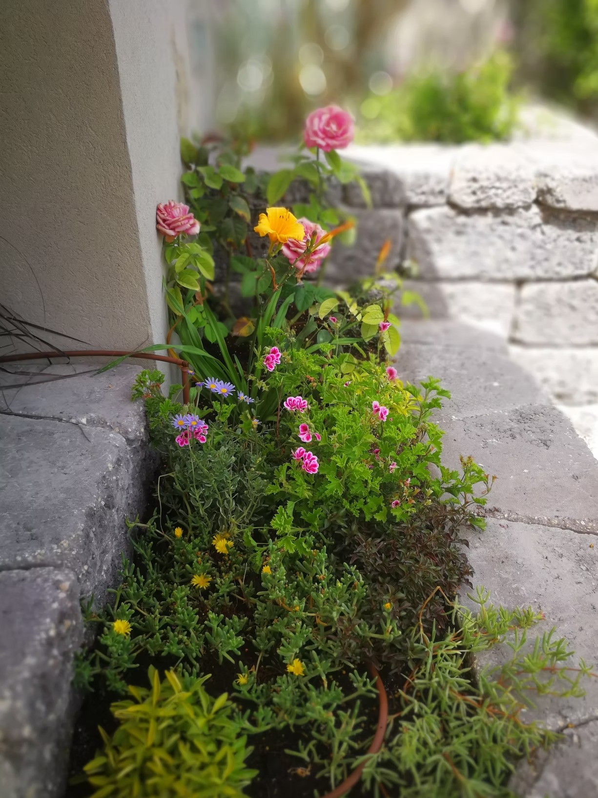 Moshe Sharet Residence, Tel Aviv