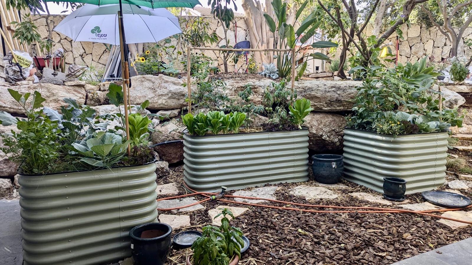 Carmel Residence, Rosh Haayin