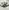 Video poster for https://a.storyblok.com/f/341786/x/d5cbe0472d/03-small-thumbnail-406xany-height-converse-pharrell.mp4