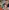 Video poster for https://a.storyblok.com/f/341786/x/990f2de459/03-small-thumbnail-406xany-height-perpetually-in-awe.mp4