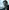 Video poster for https://a.storyblok.com/f/341786/x/35f5af6342/03-small-thumbnail-406xany-height-coc-sb.mp4
