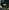 Video poster for https://a.storyblok.com/f/341786/x/a380b961a4/03-small-thumbnail-406xany-height-toyota-daisies.mp4