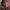 Video poster for https://a.storyblok.com/f/341786/x/b7fb843a0c/03-small-thumbnail-406xany-height-blackholes.mp4